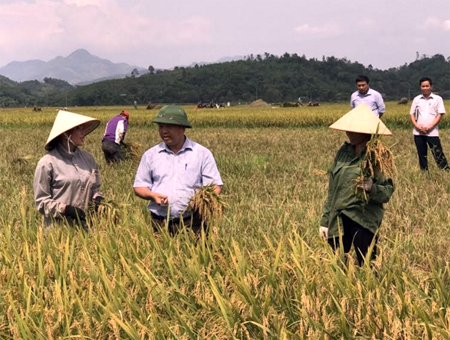 Lãnh đạo huyện Văn Yên gặp gỡ, trao đổi, động viên nông dân xã An Thịnh thu hoạch lúa xuân, làm vụ mùa.