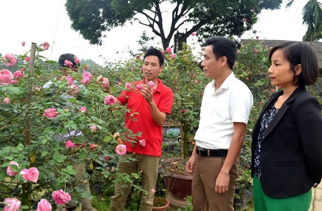 Lãnh đạo xã Tuy Lộc thăm mô hình trồng hoa, cây cảnh của người dân thôn Xuân Lan.