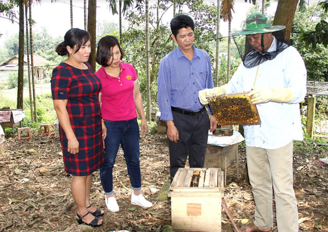 Ông Trần Văn Ly chia sẻ kinh nghiệm, kỹ thuật nuôi ong lấy mật.