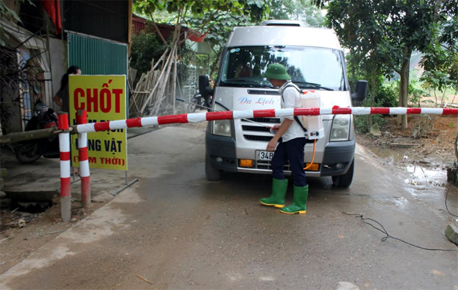 Chốt kiểm dịch động vật tạm thời đặt tại tổ 5, phường Hợp Minh.
