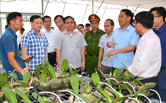 Đoàn công tác của Văn phòng Điều phối NTM Trung ương khảo sát mô hình trồng lan hồ điệp tại xã Minh Bảo, thành phố Yên Bái.