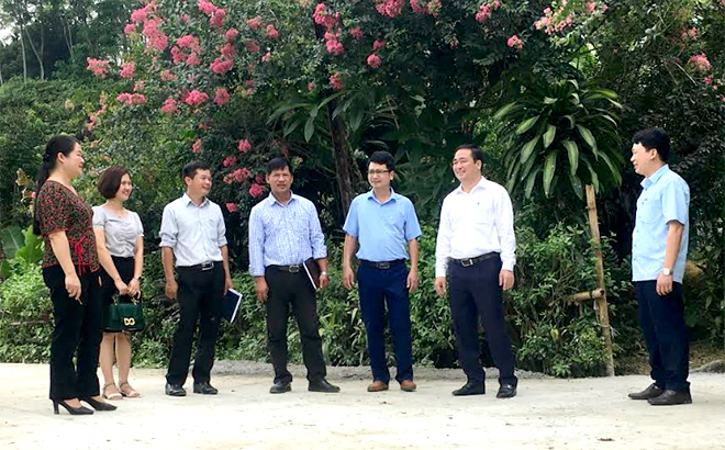 Các đồng chí lãnh đạo huyện Yên Bình kiểm tra công trình đường giao thông nông thôn tại xã Đại Đồng.