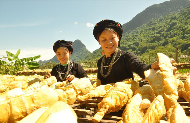 Người dân xã Lâm Thượng sơ chế măng mai.
