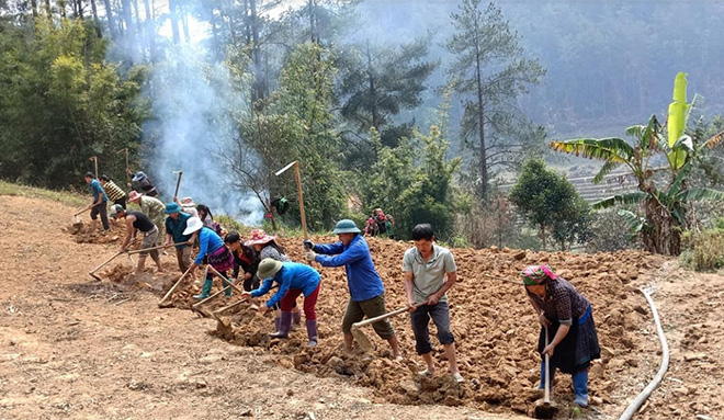 Nhân dân huyện Mù Cang Chải tích cực lao động sản xuất.