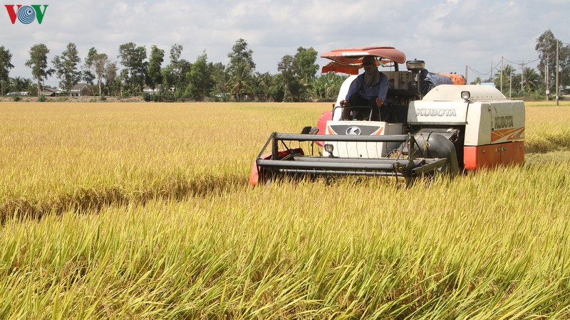 An ninh lương thực và nông lâm thủy sản phục vụ xuất khẩu là mục tiêu kép của ngành nông nghiệp trong 