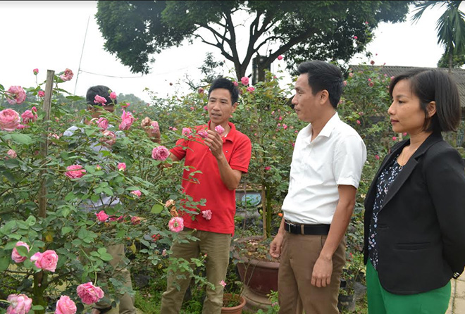 Lãnh đạo xã Tuy Lộc thăm mô hình trồng hoa, cây cảnh ở thôn Xuân Lan.