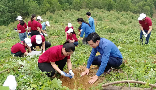 Tuổi trẻ Yên Bình tham gia trồng cây trên các đảo hồ Thác Bà.