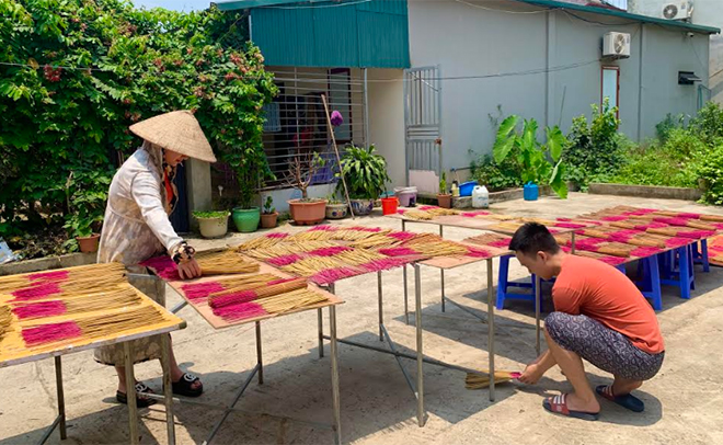 Sản phẩm hương quế của Công ty TNHH Trà thảo mộc Quế Phát phấn đấu đạt chuẩn OCOP 3 sao cấp tỉnh trong năm 2021.