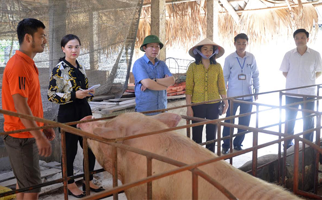 Ban Dân tộc HĐND tỉnh cùng các ban của HĐND giám sát việc thực hiện chính sách hỗ trợ phát triển chăn nuôi trên địa bàn tỉnh.
