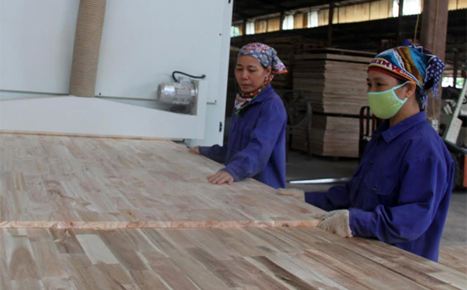 Công nhân Doanh nghiệp Tư nhân Đăng Khoa, huyện Trấn Yên sản xuất ván gỗ ghép thanh xuất khẩu.