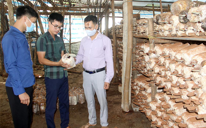 Lãnh đạo Hội Nông dân xã Minh Bảo thăm mô hình trồng nấm cùng anh Đoàn Văn Dũng (đứng giữa).