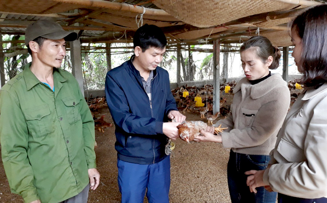 Các đồng chí lãnh đạo xã Quy Mông kiểm tra việc chăn nuôi gà an toàn sinh học của HTX Dịch vụ và Chăn nuôi xã Quy Mông.