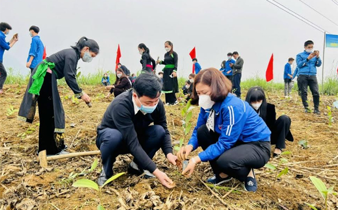 Lãnh đạo Công ty cổ phần Hồng Nam tham gia trồng cây tại Khu di tích lịch sử quốc gia Đèo Lũng Lô.