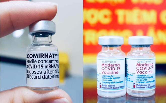 Hai loại vaccine Pfizer và Moderna còn tồn đọng, có nguy cơ phải hủy bỏ.