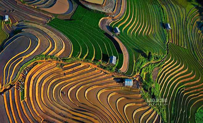 Ruộng bậc thang Mù Cang Chải nằm trên các sườn núi, ở huyện Mù Cang Chải, được xếp hạng di tích quốc gia đặc biệt.