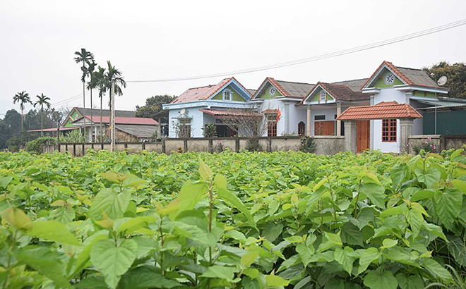 Kinh tế phát triển, thu nhập nâng cao, nhiều gia đình ở xã Việt Thành (Trấn Yên) xây dựng được nhà cửa khang trang.