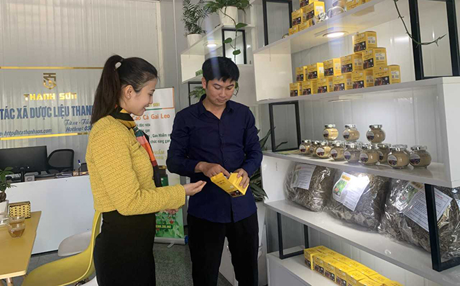 Anh Phạm Văn Chiến - Bí thư Chi đoàn thôn An Khang, xã Đông An, Chủ nhiệm HTX sản xuất Dược liệu Thanh Sơn giới thiệu sản phẩm Cao đặc Cà gai leo.