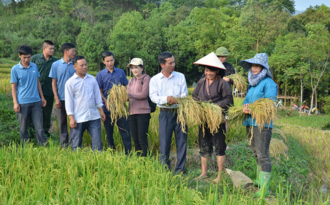 Lãnh đạo xã Suối Quyền nắm bắt tình hình sản xuất trong nhân dân tại thôn Suối Bó.