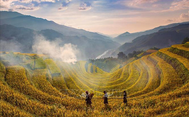 Vào mùa lúa chín hằng năm， khu ruộng bậc thang Mù Cang Chải， huyện Mù Cang Chải， tỉnh Yên Bái thu hút nhiều khách du lịch đổ về tham quan.