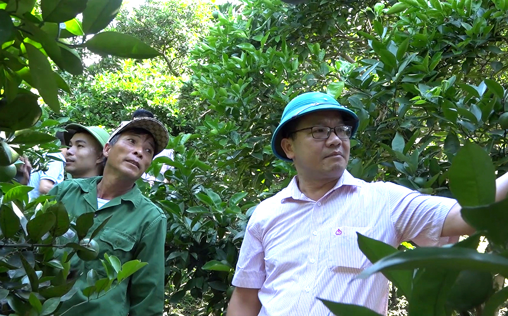 Lãnh đạo Phòng Giao dịch Ngân hàng Chính sách xã hội huyện Văn Chấn kiểm tra, giám sát việc thực hiện vốn vay tại xã Thượng Bằng La.