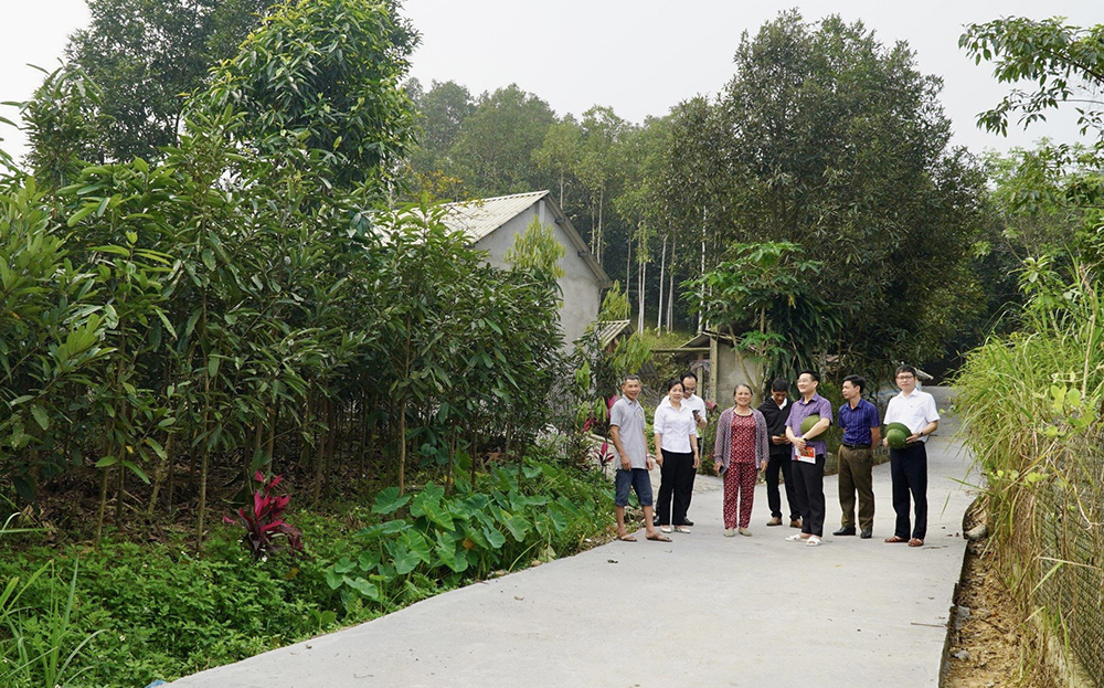 Lãnh đạo huyện Văn Yên kiểm tra công tác phát triển đường giao thông nông thôn tại xã Yên Hợp.