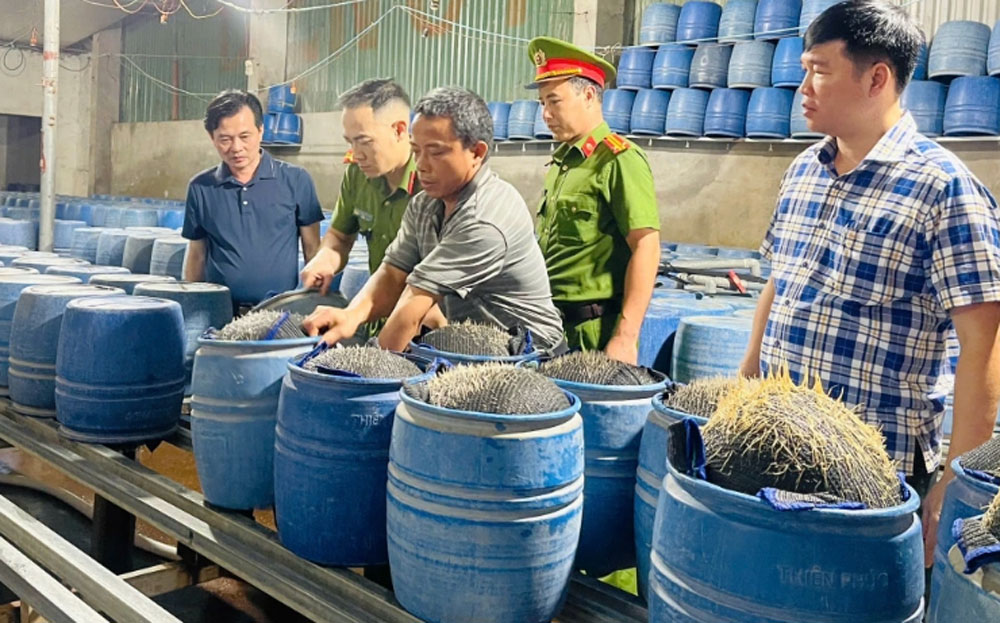 Một trong hai cơ sở sản xuất giá đỗ độc hại.
