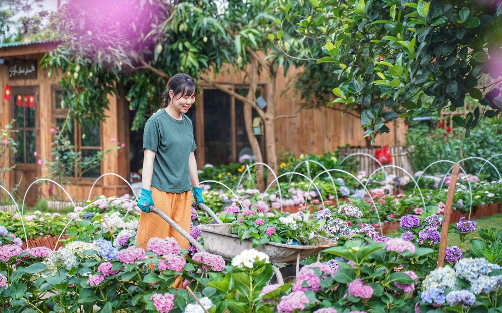 Các cơ sở du lịch trên địa bàn tỉnh tập trung tạo cảnh quan môi trường xanh, sạch, đẹp để thu hút du khách mùa hè này.