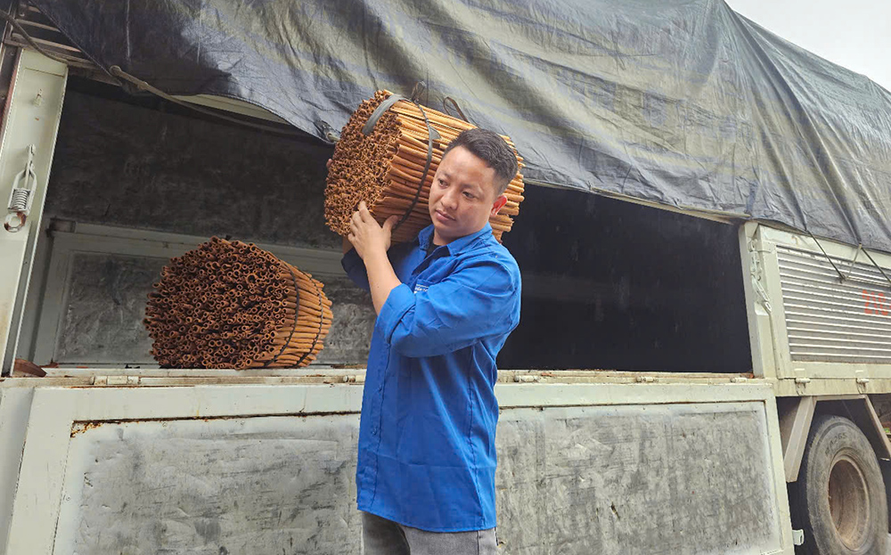 Anh Nguyễn Văn Tuyên - Giám đốc Hợp tác xã Quế thơm, xã Tân Đồng.