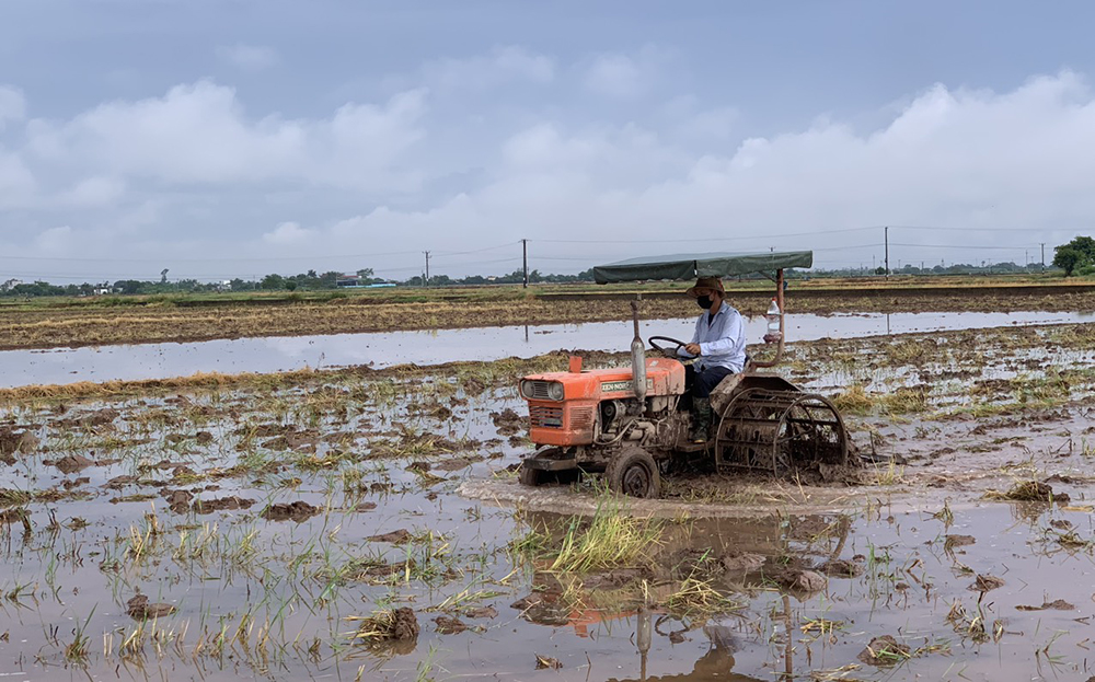 Sử dụng máy cày làm đất trên cánh đồng Mường Lò.
