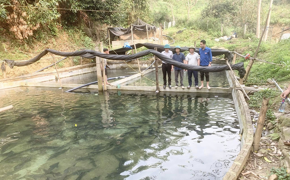 Lãnh đạo xã Lâm Giang thăm mô hình nuôi cá tầm của anh Đặng Văn Cường.