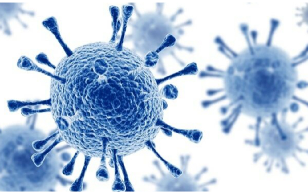 Ảnh mô phỏng vi rút HIV