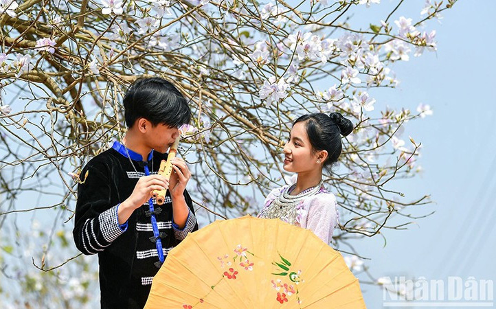 Ảnh minh họa.