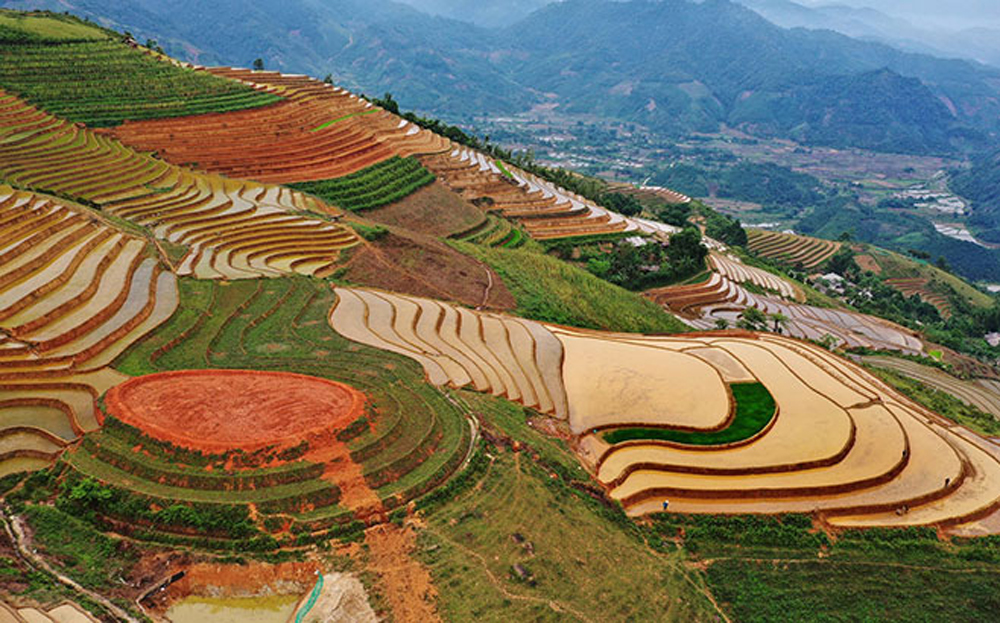 Ruộng bậc thang Phong Dụ Thượng mùa nước đổ. (Ảnh: Thanh Miền)
