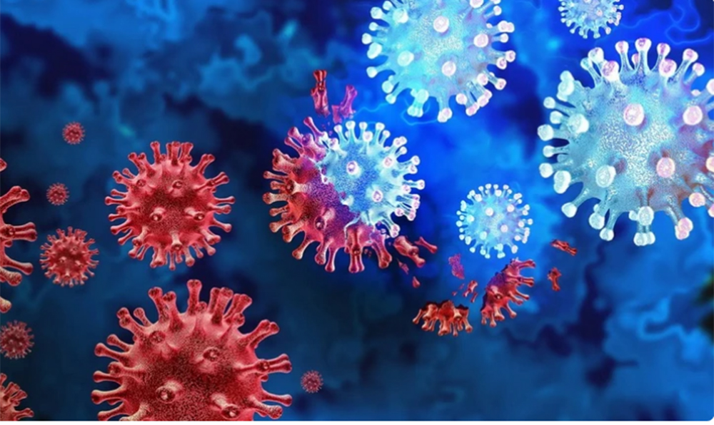 Virus SARS-CoV-2.