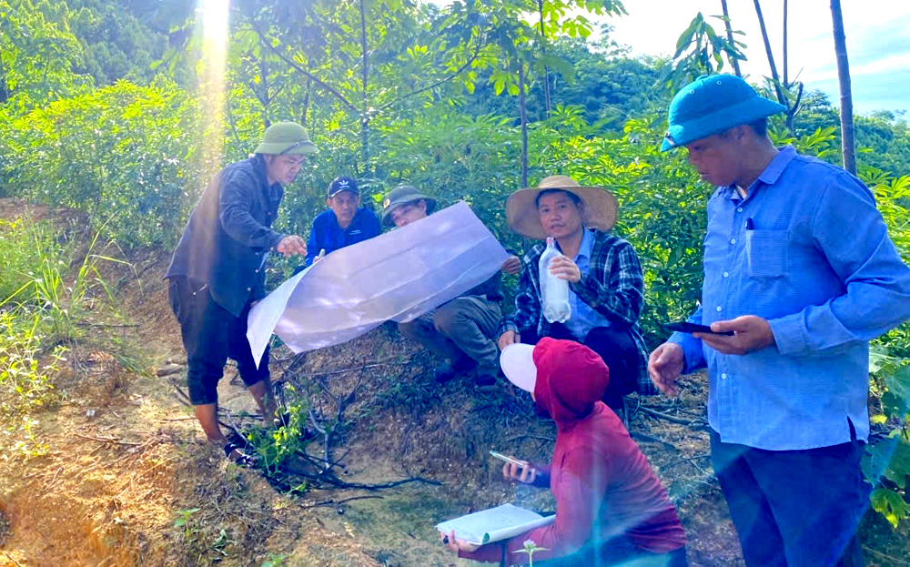 Các đơn vị chức năng huyện Văn Yên ghi hình hiện trạng và đối soát bản đồ với thực địa tại xã Châu Quế Thượng.
