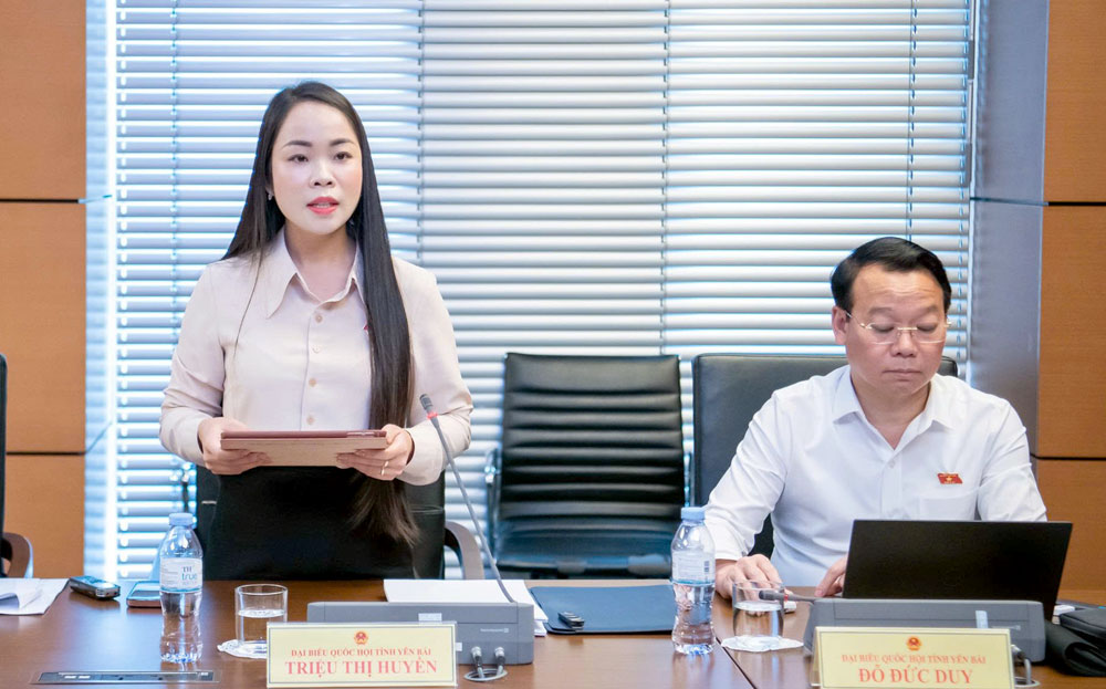Đại dafabet Triệu Thị Huyền tham gia góp ý vào Dự thảo Luật Đường sắt (sửa đổi).