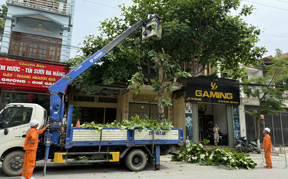 Công nhân Công ty Điện lực Yên Bái chặt tỉa cây xanh, phát quang hành lang, đảm bảo an toàn lưới điện.