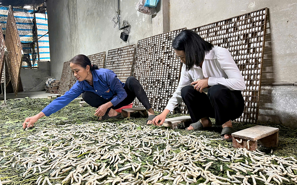 Từ dòng vốn “mồi” khơi nguồn ý tưởng, các mô hình sản xuất hiệu quả, đến tất cả đã hợp lực, chắp cánh cho hàng ngàn giấc mơ thoát nghèo.