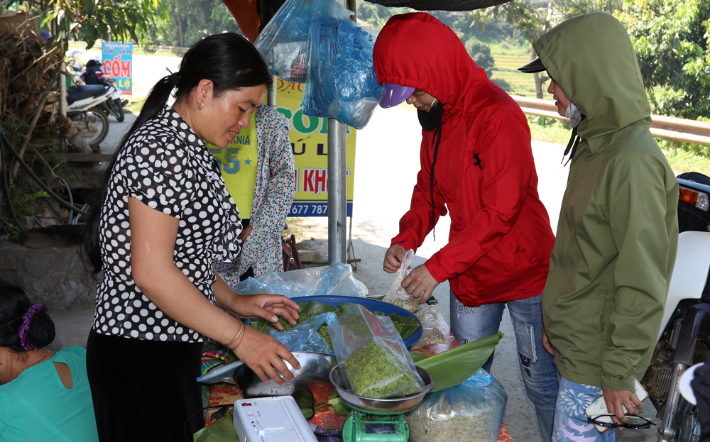 Nhiều diện tích nếp Tan ở Cao Phạ được tiểu thương thu mua non về làm cốm mang lại giá trị cao.