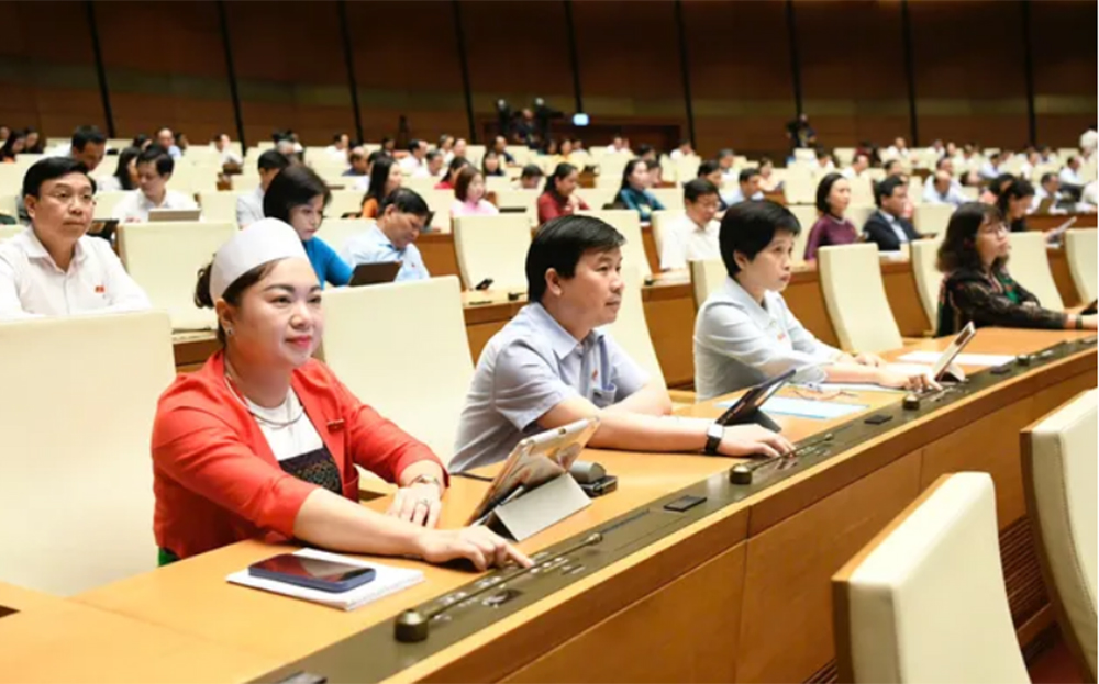 Các đại biểu biểu quyết thông qua dự án luật.