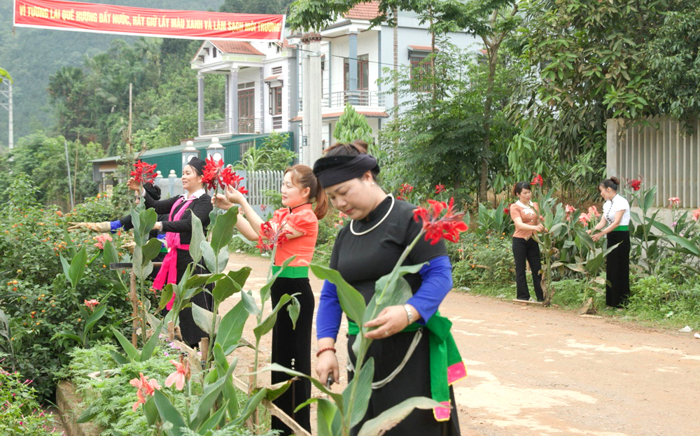 Đường hoa nông thôn mới ở xã dafabet dang nhap Phú, huyện Văn dafabet dang nhap.