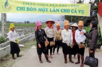 Hội phụ nữ thị xã Nghĩa Lộ và Trạm Khuyến nông thị xã phối hợp tuyên truyền và vận động hội viên áp dụng phân viên nén dúi sâu.
(Ảnh: Đức Phương)

