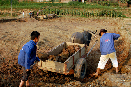 Vốn tín chấp đã tạo điều kiện cho nông dân chủ động hơn trong việc thực hiện kế hoạch sản xuất kinh doanh của mình. Ảnh minh họa