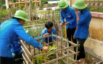 ảnh minh họa