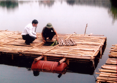 Mô hình nuôi cá lồng của gia đình anh Nguyễn Văn Tĩnh đem lại hiệu quả kinh tế cao.