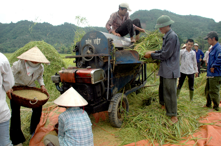 Nông dân xã Minh Xuân đưa cơ giới hóa
phục vụ sản xuất nông nghiệp.