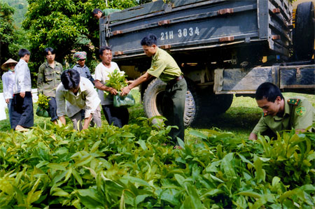 Cán bộ kiểm lâm huyện Văn Chấn giao cây giống đến tay người dân để chuẩn bị trồng rừng.