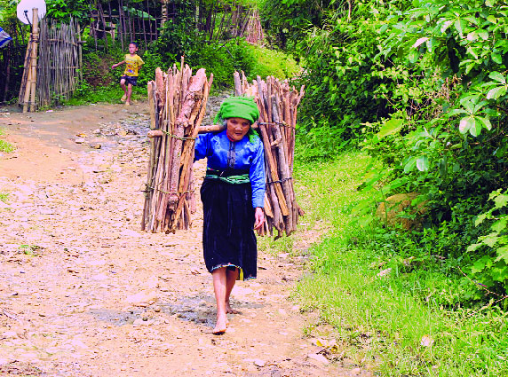 Ngoài 70 tuổi, bà Lò Thị Xe vẫn phải lên rừng kiếm củi về bán.