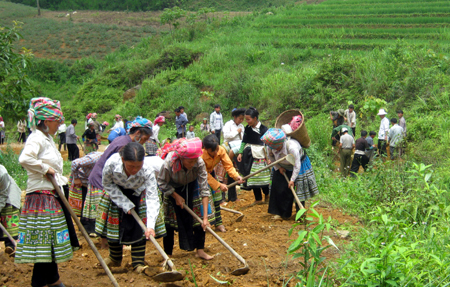 Các đoàn viên thanh niên xã Nậm Lành (Văn Chấn) giúp dân làm đường giao thông nông thôn.