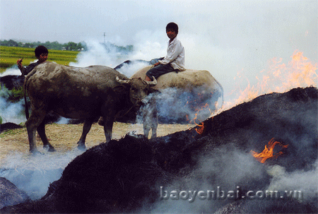 Khói đồng chiều.
(Ảnh: Thu Chung)